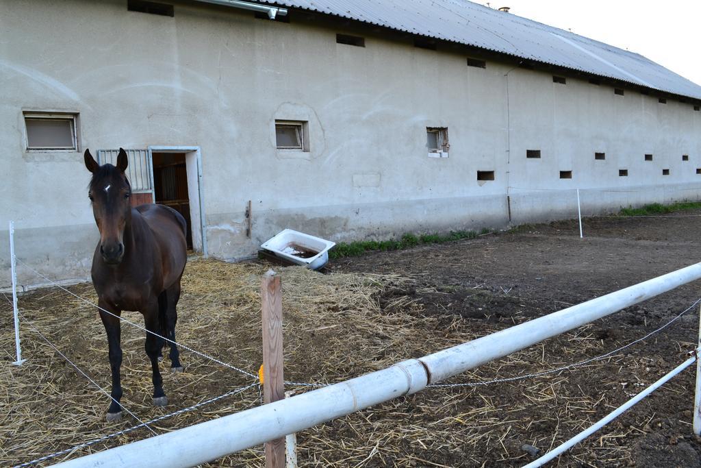 Penzion Eqilon Hotel Mělník Buitenkant foto